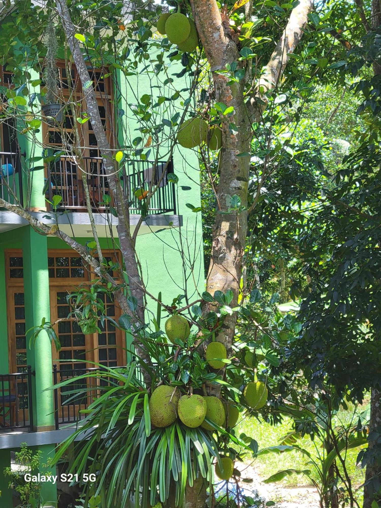 Barefoot Bungalow Hikka Hikkaduwa Exteriör bild