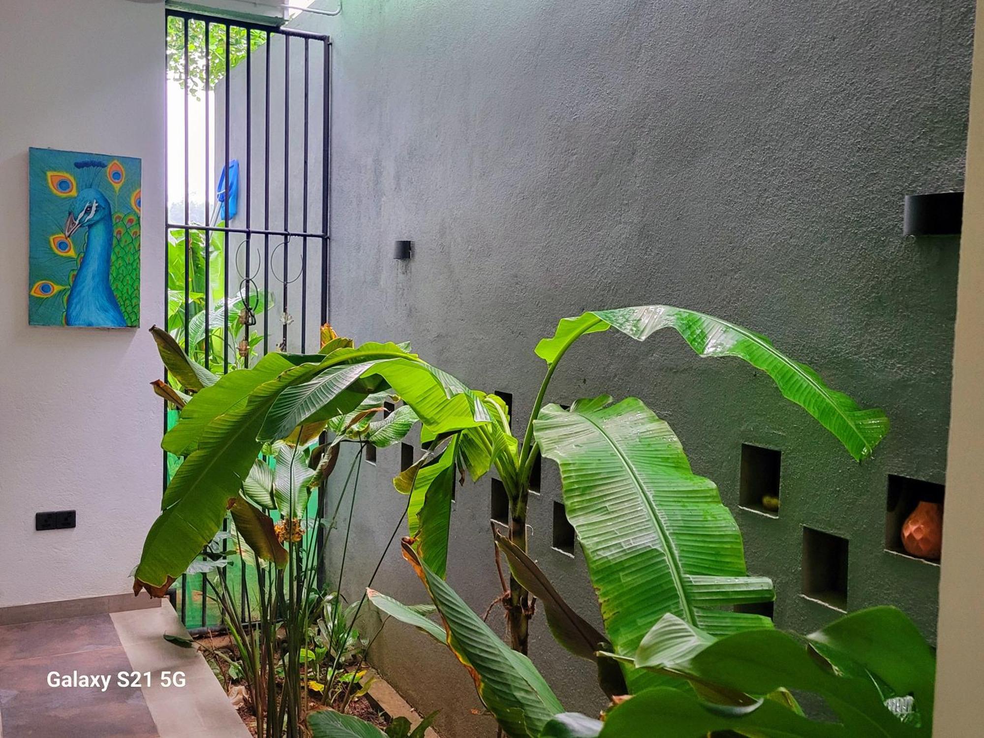 Barefoot Bungalow Hikka Hikkaduwa Exteriör bild
