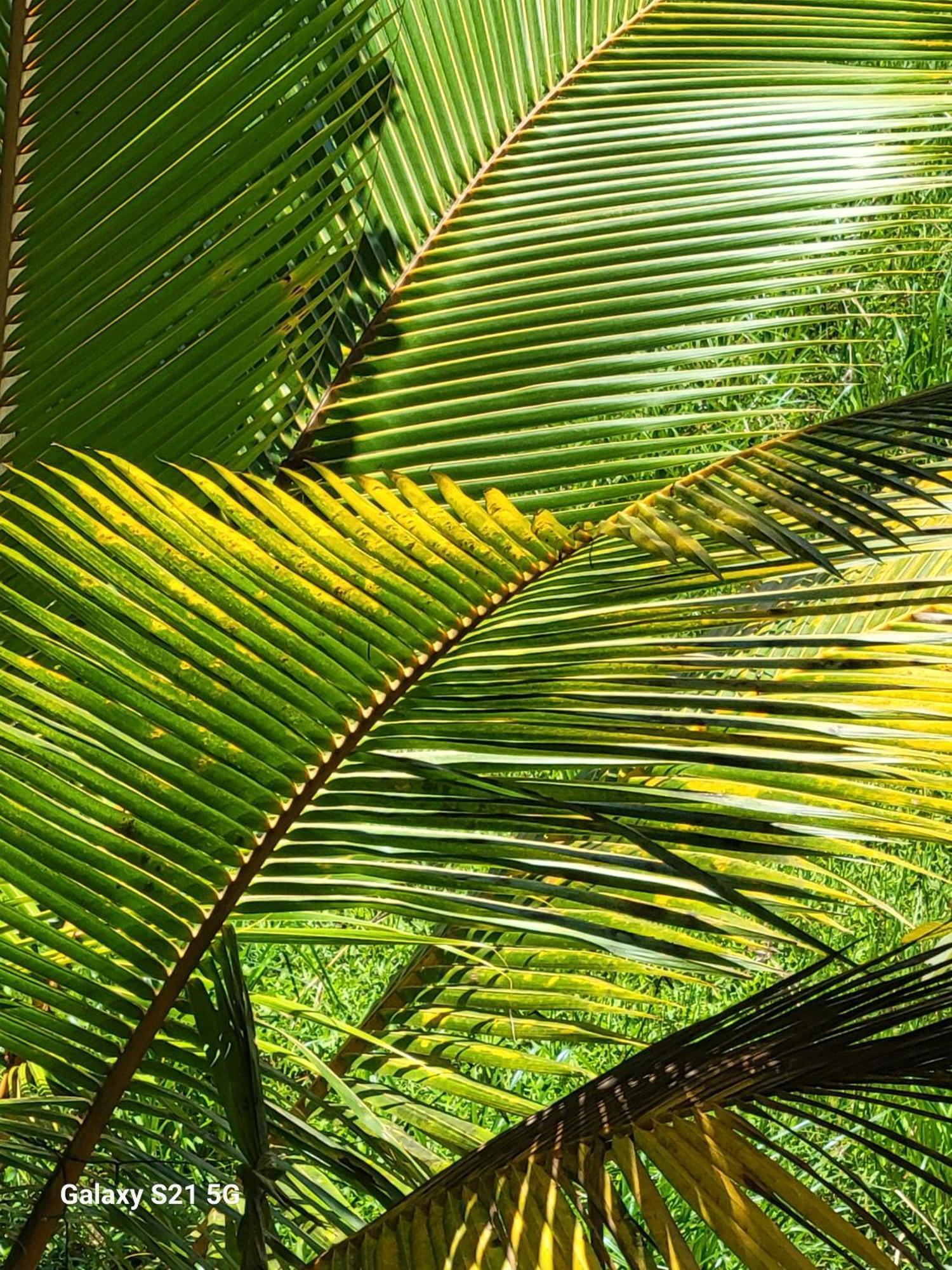 Barefoot Bungalow Hikka Hikkaduwa Exteriör bild